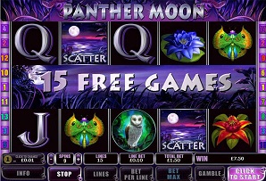 Panther Moon