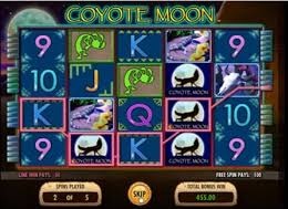 Coyote Moon