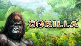 Gorilla � JoyCasino ������� ��������