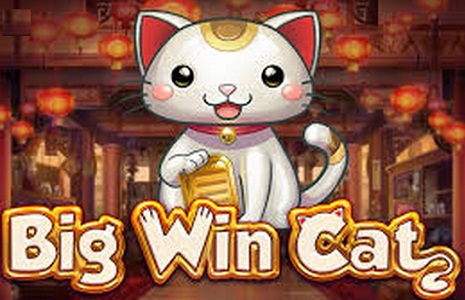 ����� Big Win Cat �� ����������� ����� Freshkasino.top
