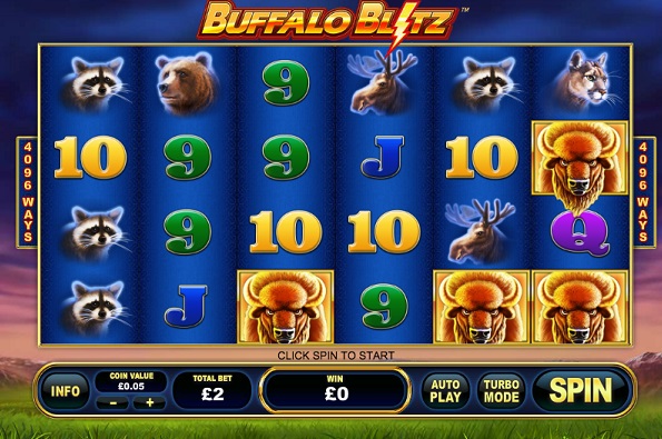 ����� ��������� Buffalo Blitz �� ���� �������